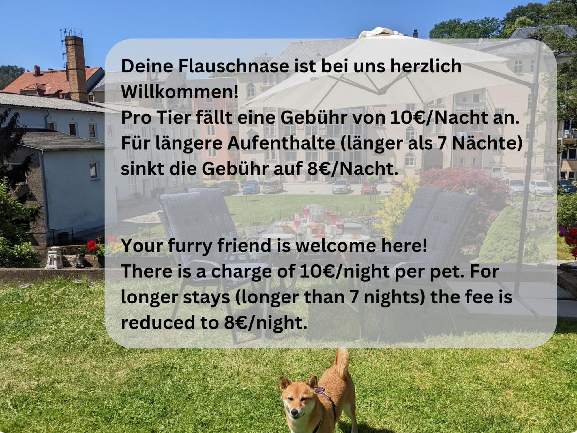 Hw1 - Urlaubsmagie - Sauna&Whirlpool Zum Entspannen ゼーブニッツ エクステリア 写真